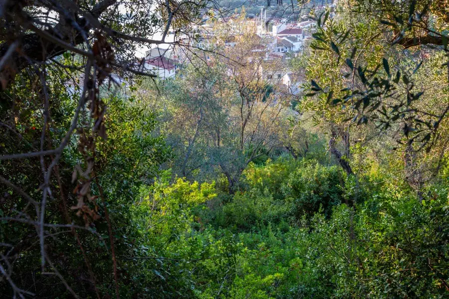 Morning light in Gaios Paxos